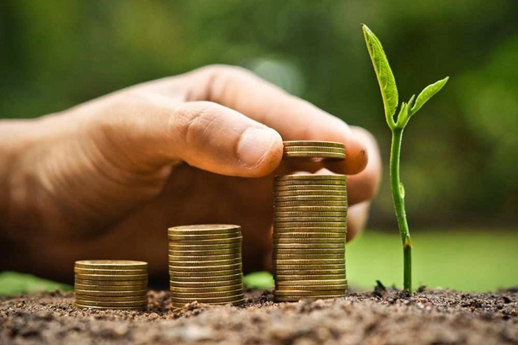 Comercialização de Créditos de Carbono (compra e venda)