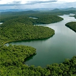 Imagem Mata