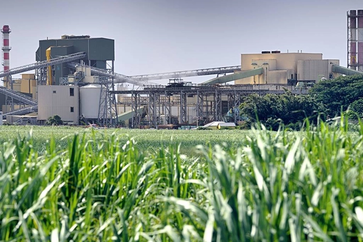 Usinas Hidrelétricas PCH e Usinas de Álcool e Açúcar